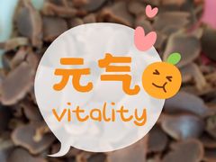 -北京稻香村(第三店)