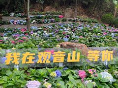 -东莞观音山旅游风景区