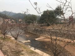 -红山村