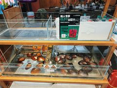 -十八字金银饰·拼豆·开蚌手工体验团建(君太百货店)