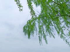 -良渚古城遗址公园