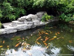 -青青世界