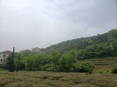 -宝界山林公园