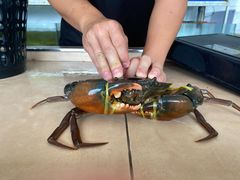 -ZF Seafood Restaurant 卓峰海鲜餐