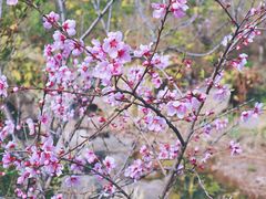 -江苏三台山国家森林公园