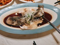 -峨嵋酒家(牡丹园店)