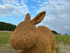 -嘉北郊野公园