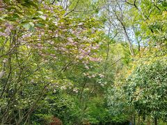 -杭州半山国家森林公园