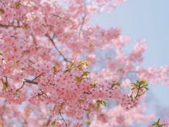 -上海辰山植物园