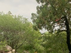 -青州市云门山风景区