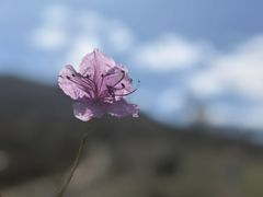 -灵山
