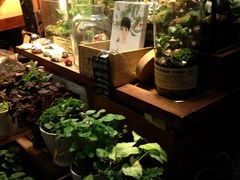 -懒鱼时光馆(沙坪坝店)