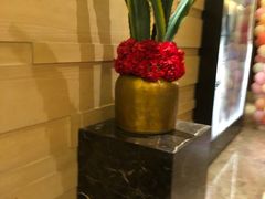 -同庆楼(滨湖万达广场店)