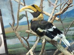 -济南野生动物世界