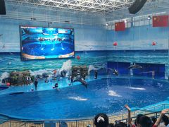 -多彩贵州城极地海洋世界