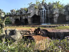 -海南热带野生动植物园
