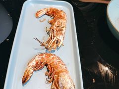 阿根廷红虾-海食焗(新光天地店)