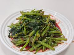-海金滋(陕西南路店)
