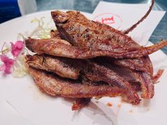 -新雅粤菜馆(南京东路店)