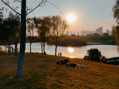 -洋湖国家湿地公园