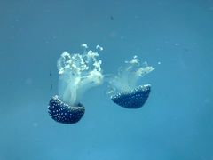 -常州海昌海洋探索馆