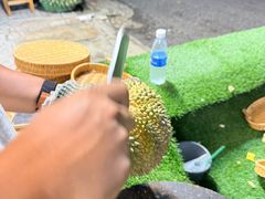 -都念榴莲·城市榴莲