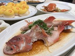 -轩记海鲜餐厅·四十五年老字号·经典粤菜(西区彩虹店)