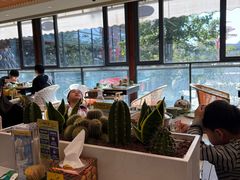 -润园四季椰子鸡火锅(欢乐海岸店)