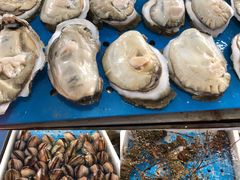 -大湾区中央湿地公园-十九涌