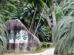 -深圳仙湖植物园