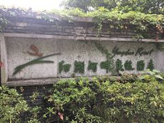 -广悦华阳朔河畔度假酒店(十里画廊遇龙河店)