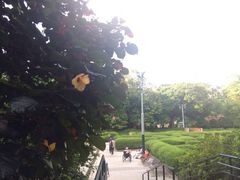 -九龙公园