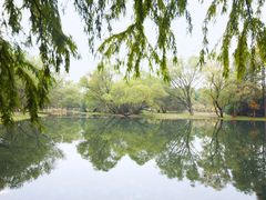 -共青国家森林公园-售票处