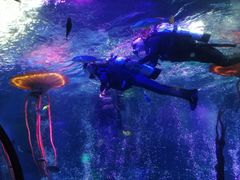 -沈阳海洋探索中心