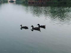 -上海怡沁园度假酒店
