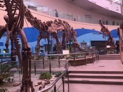 -陕西自然博物馆