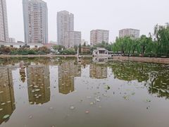 -团结湖公园