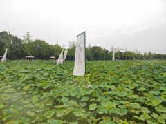 -嘉北郊野公园