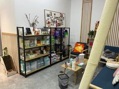 -山宅一喵德文卷毛猫舍