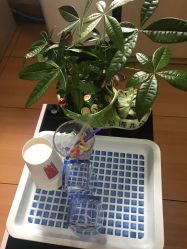 点击看大图 -本真坊美容美体沙龙