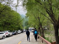 -牛背梁国家森林公园