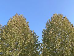 -金海湾滨江公园