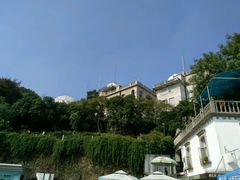 -上海佘山国家森林公园西佘山园