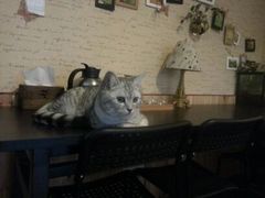 android_upload_pic-隅cafe(傅厚岗店)