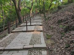 -苏州上方山国家森林公园