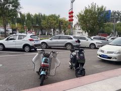 -芭比堂动物医院·CT·微创中心(新顺分院)