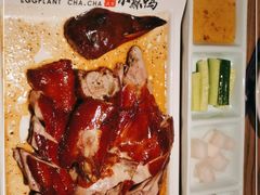 -茄子恰恰·新云南小炒(坪山益田店)
