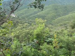 -北京西山国家森林公园