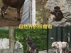 -太原动物园