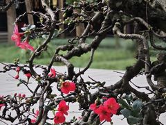 -成都杜甫草堂博物馆